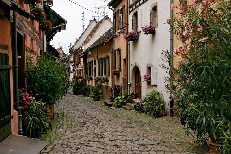 2012 : Voyage en Alsace