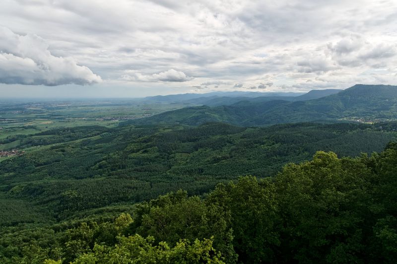 2012 : Voyage en Alsace